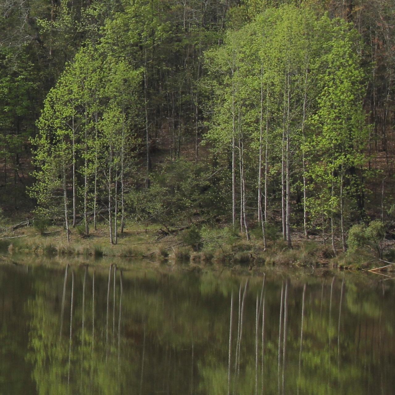 Athens Technical College offers conservation law enforcement degree